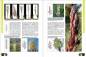 Preview: Faszination Bunt – Die Welt der panaschierten Yuccas